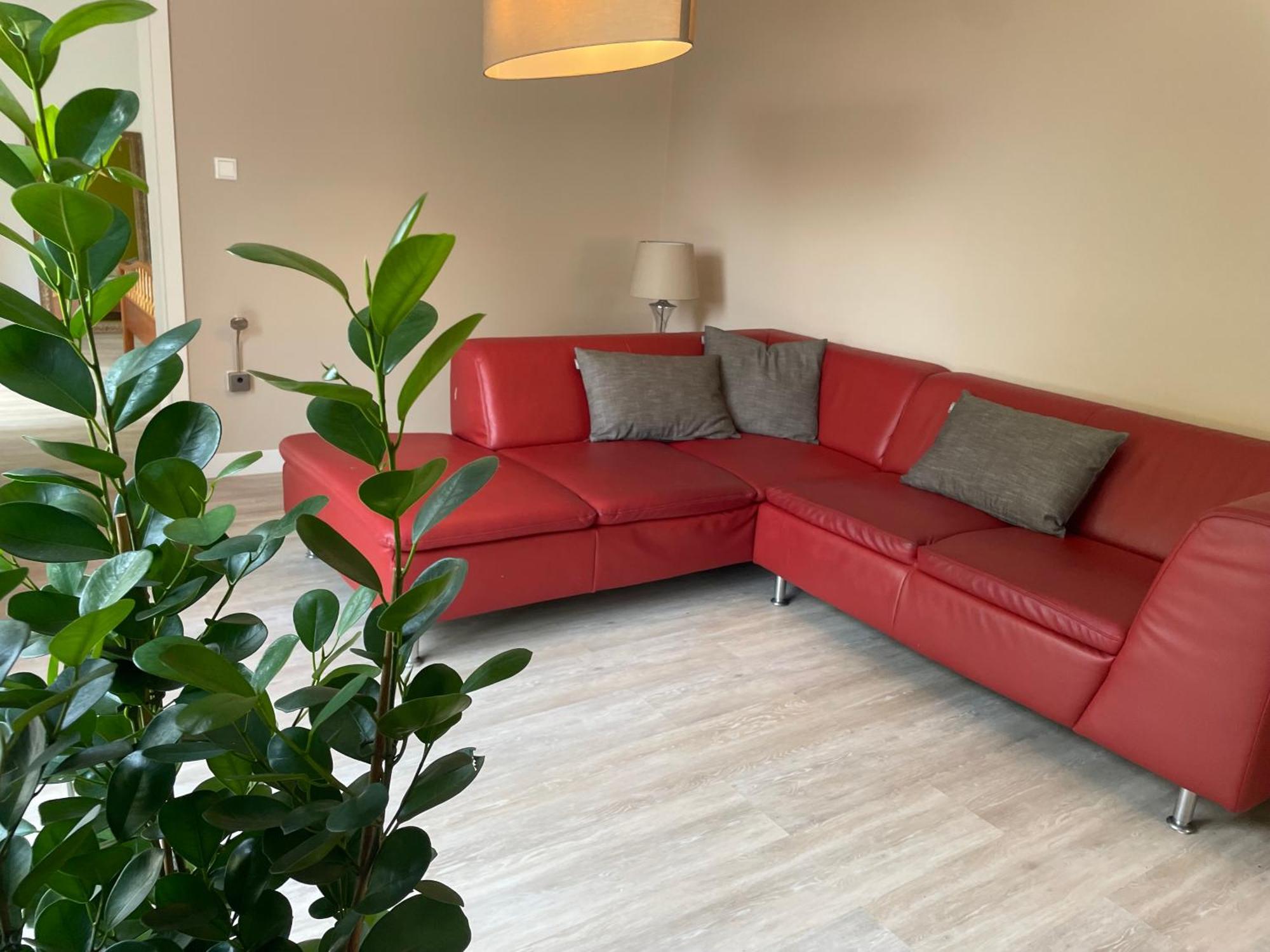 Appartement Mit 2 Schlafzimmern Und Terrasse Halle  Exterior foto